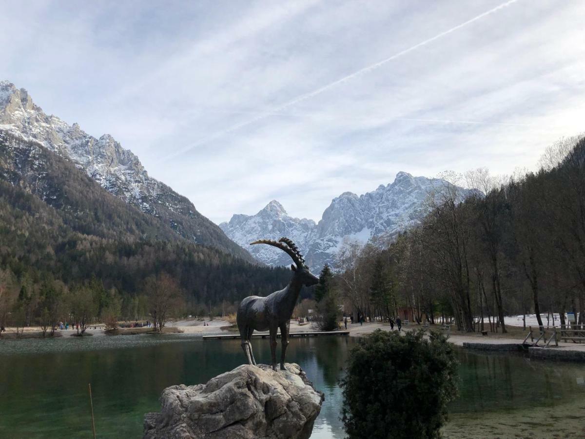 Vila Mojca Apartma Peridot - Center Kranjska Gora Kültér fotó