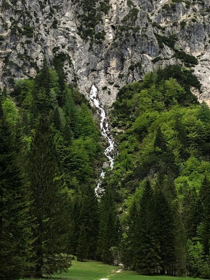 Vila Mojca Apartma Peridot - Center Kranjska Gora Kültér fotó